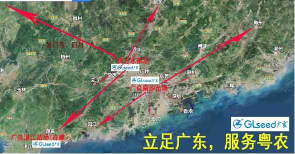 广州健雅种植有限公司(图1)
