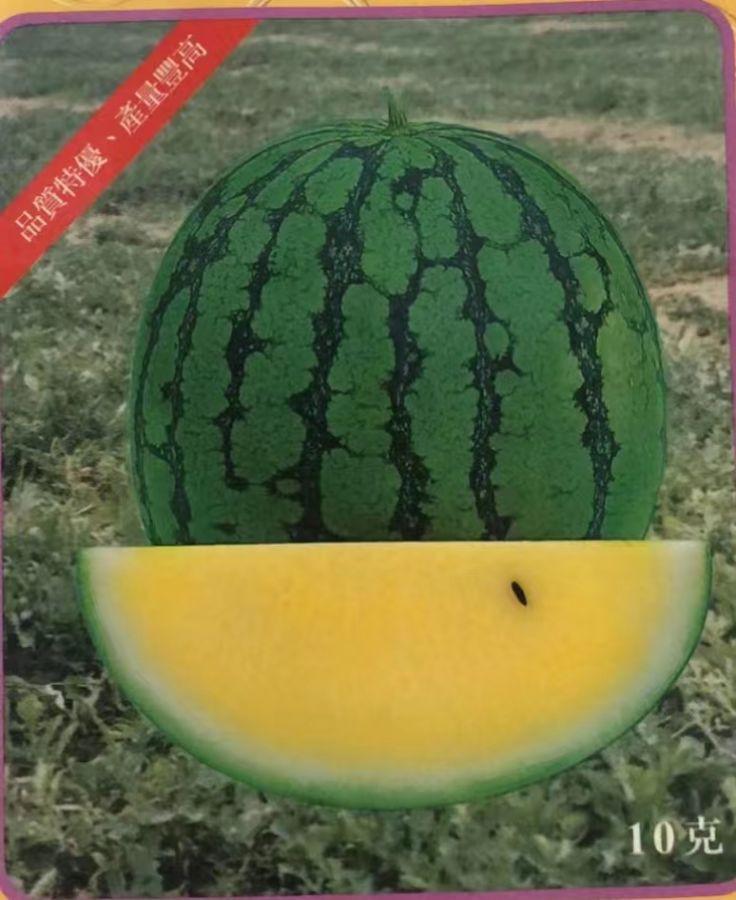 皇玉西瓜