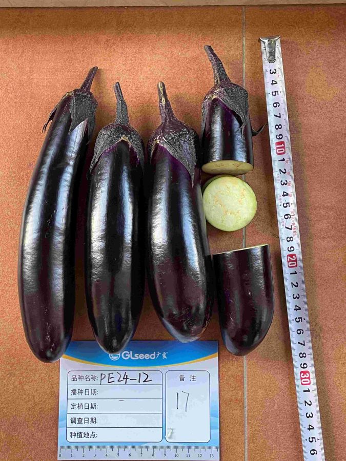 PE24-12茄子（预告）