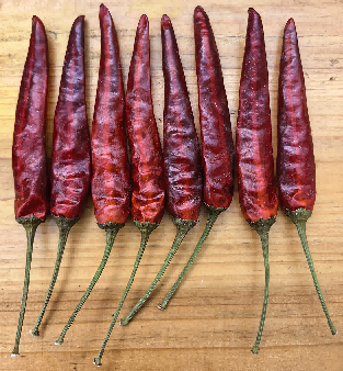 GL-2508朝天椒（预告）